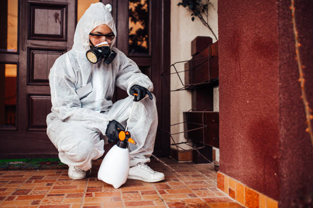 Reliable Ant Control contractor in Forest Hills, MI by Nex Pest Control